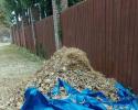 leaf pick up