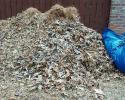 fall and spring yard clean ups including leaf removal