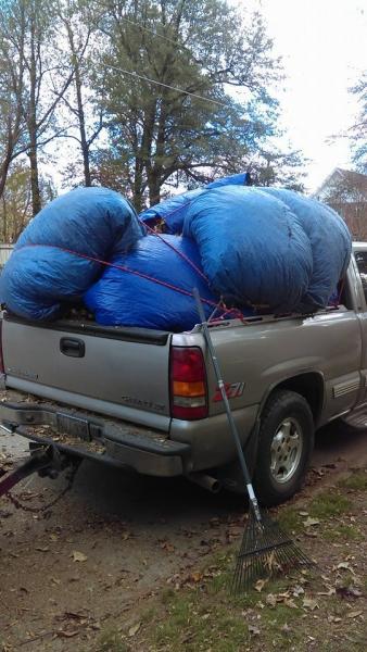 hauling away leaves that i picked up