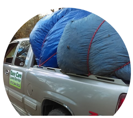 truck with bags of leaves and tree limbs