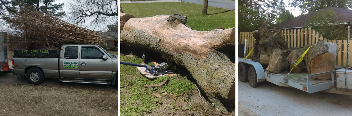 Tree Removal Services Collage