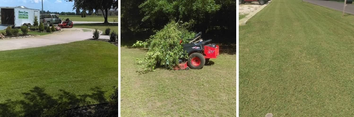 Lawn Cleanup Service Collage 